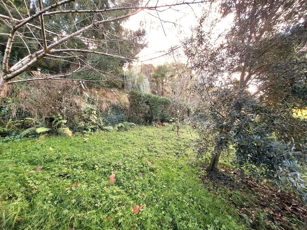 Maison à MAULEON-LICHARRE