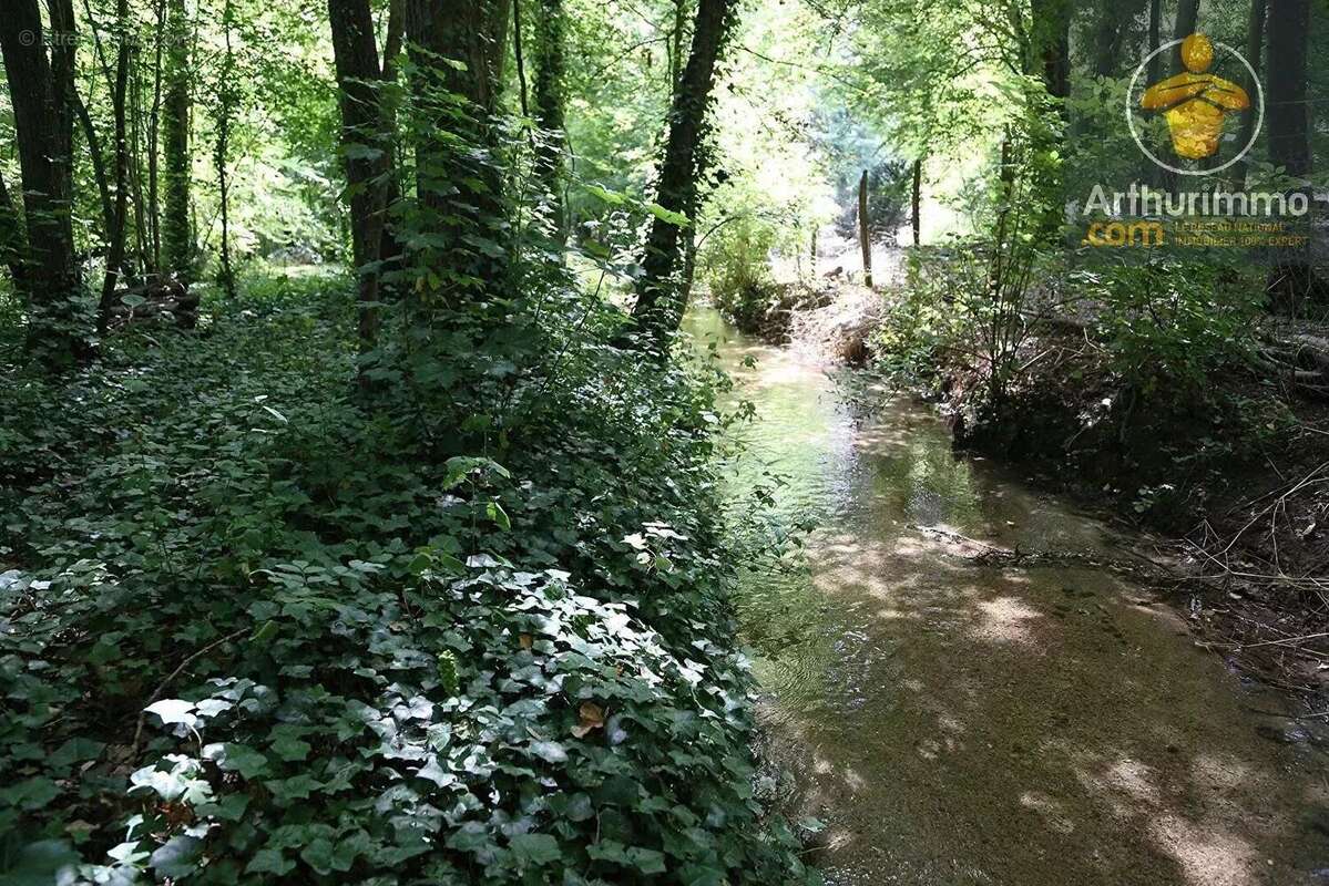 Vente Terrain Tavers(45190) 60 000ï¿œ - photo 7