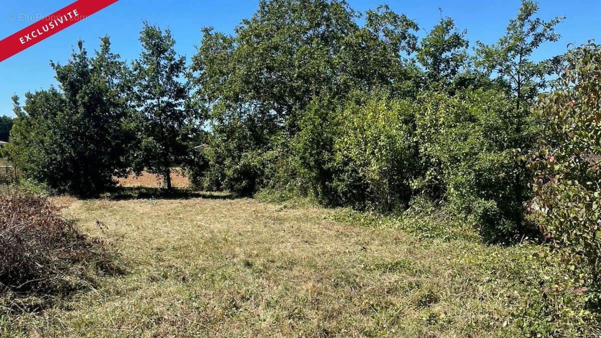 Terrain 694m² à voulême - photo 2