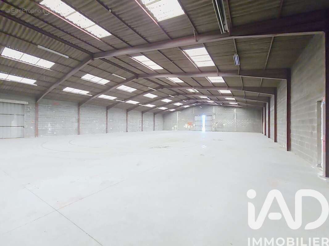Photo 5 - Appartement à MOZE-SUR-LOUET
