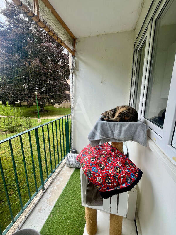 Appartement à MEAUX