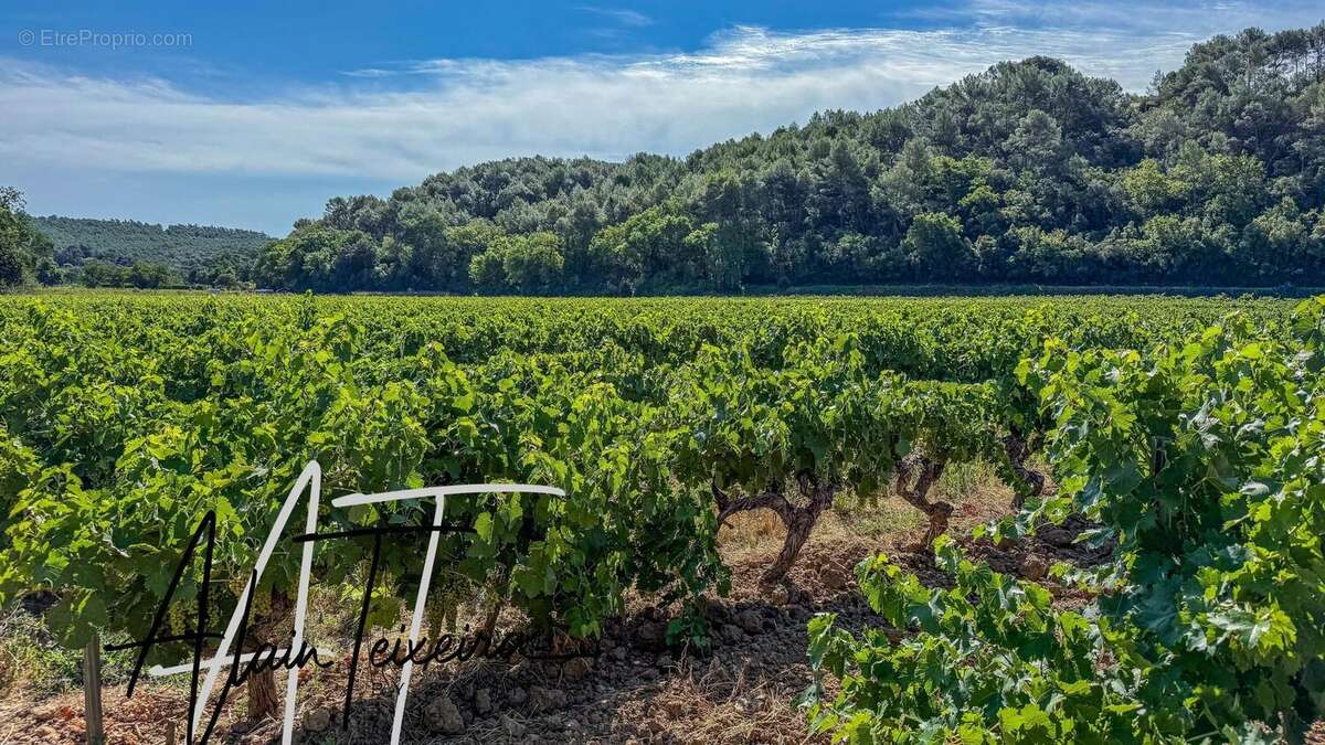 Photo 5 - Terrain à LE THORONET