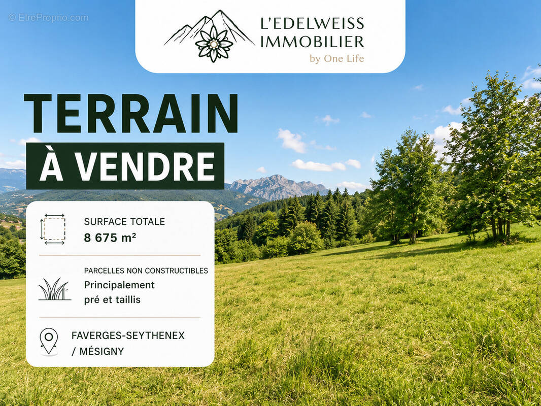 Terrain à SEYTHENEX