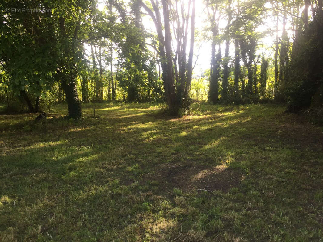 Maison à CIVRAC-EN-MEDOC
