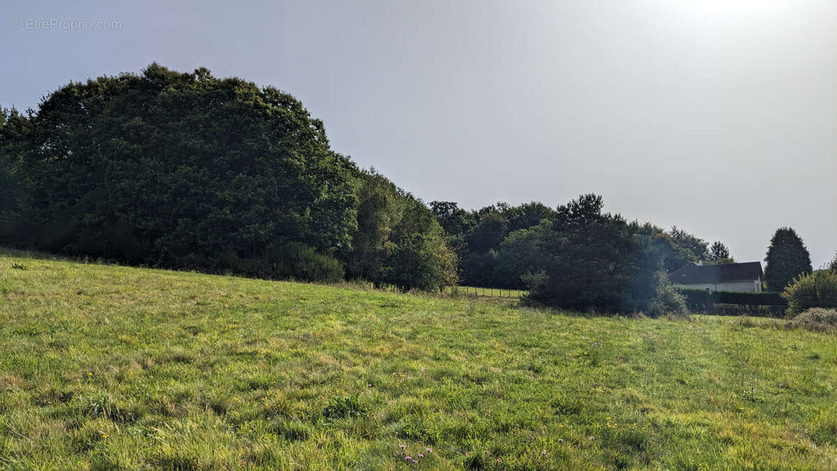 Terrain à LE CHASTANG