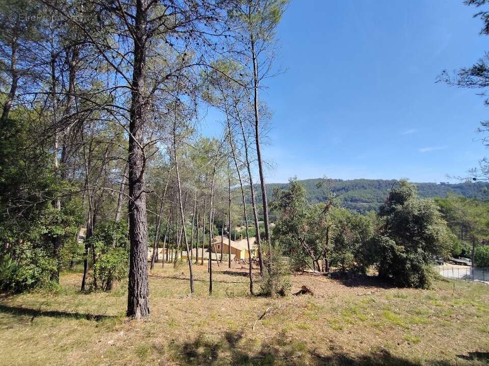Terrain 2030 m² à Taradeau  - photo 3