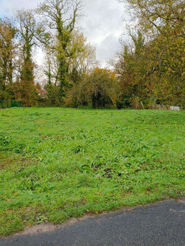 Terrain à NOYELLETTE