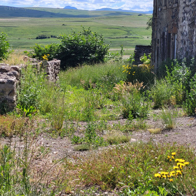 Maison en pierres avec ancienne grange - photo 24