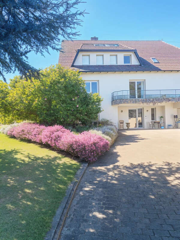 Maison à WISSEMBOURG