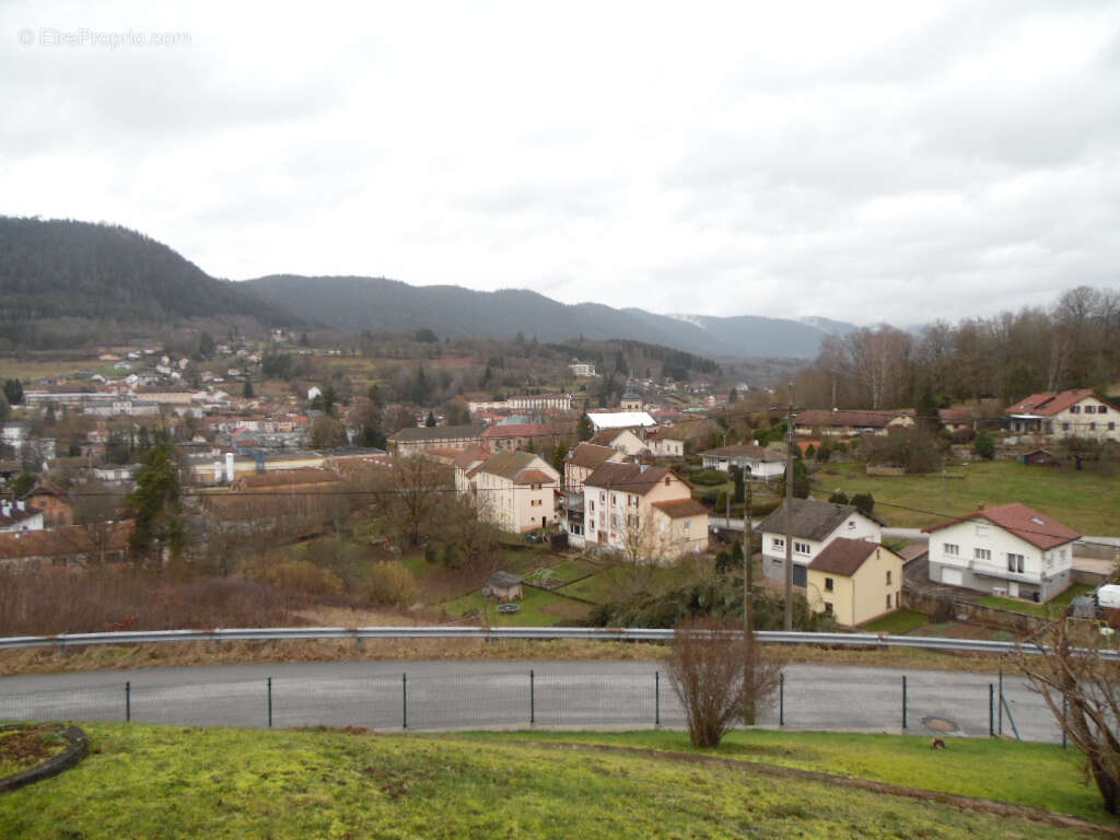 Terrain à SENONES