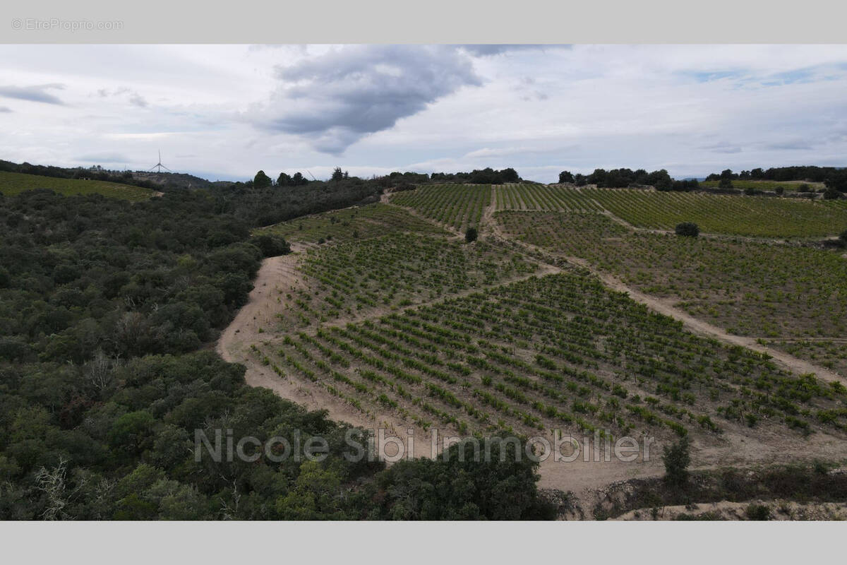 Terrain à RASIGUERES