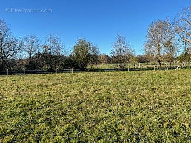 Photo 1 - Terrain à LA FORCE