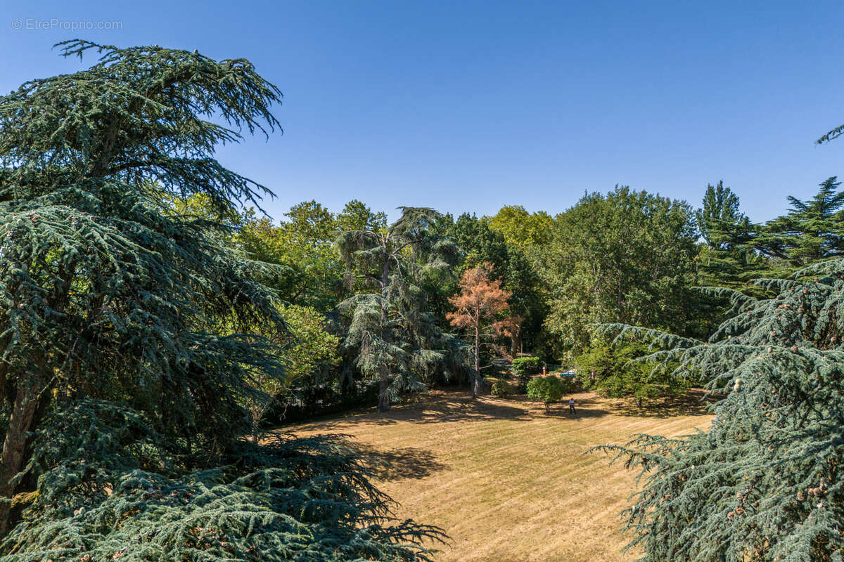 Domaine Superbe propriété à L'Union Toulouse ! - photo 13