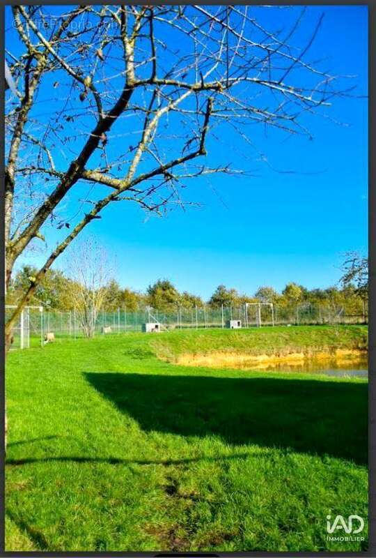 Photo 9 - Commerce à CHATEAU-GONTIER