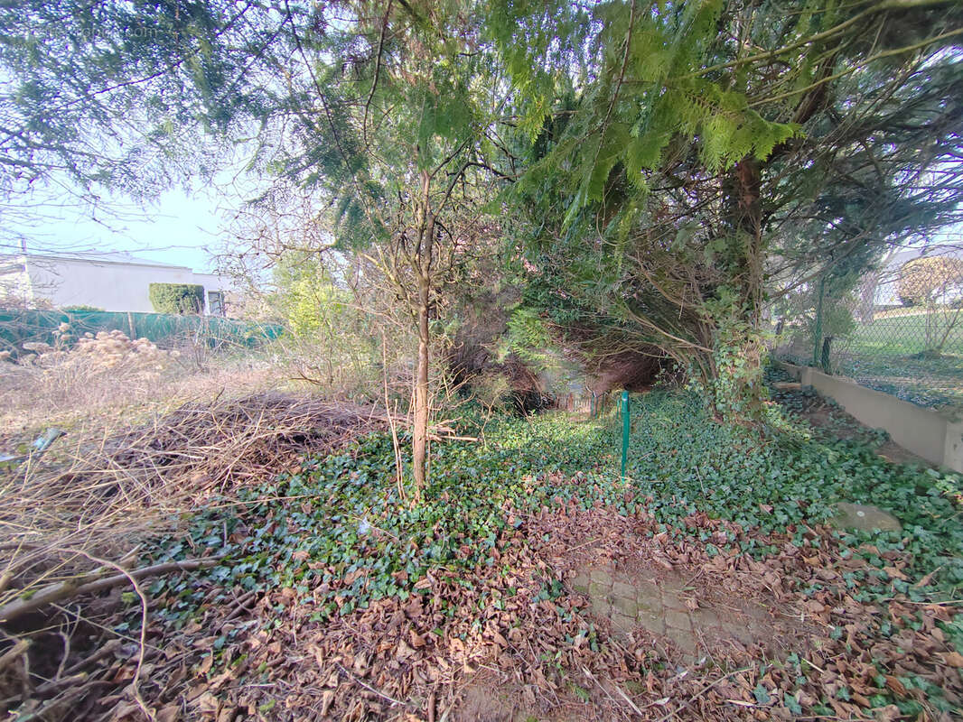 Terrain d'agrement riedisheim - photo 2