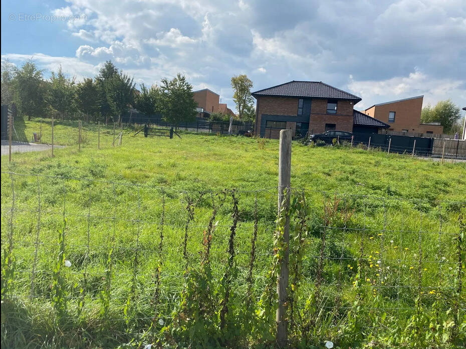 Terrain à ORCHIES