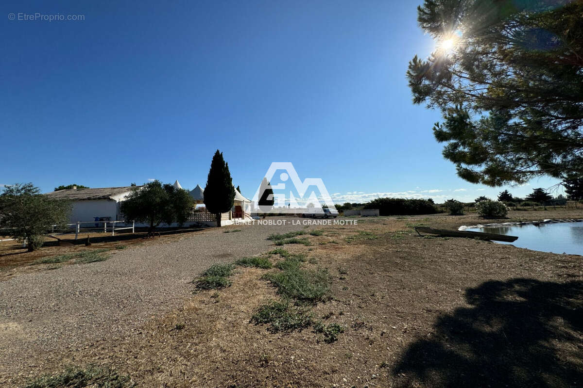 Commerce à SAINT-LAURENT-D&#039;AIGOUZE