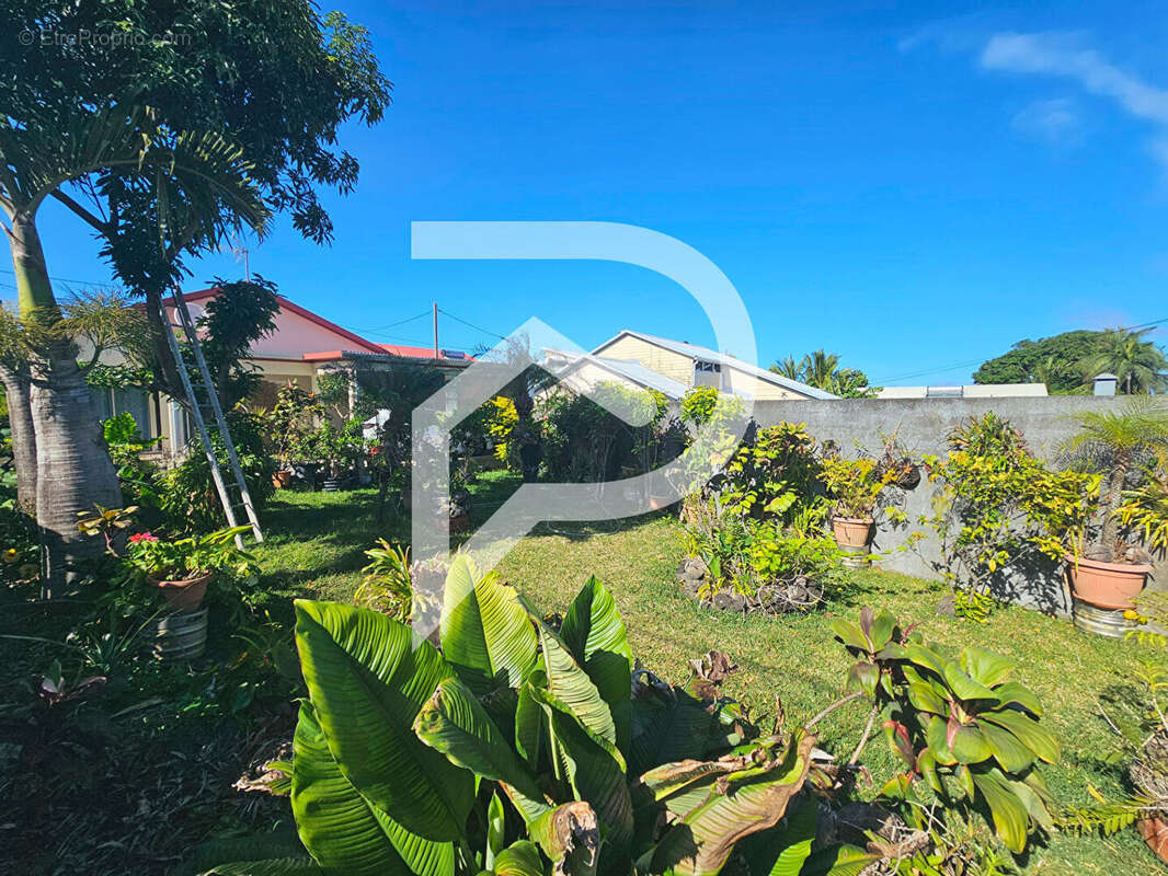 Maison à SAINT-PIERRE