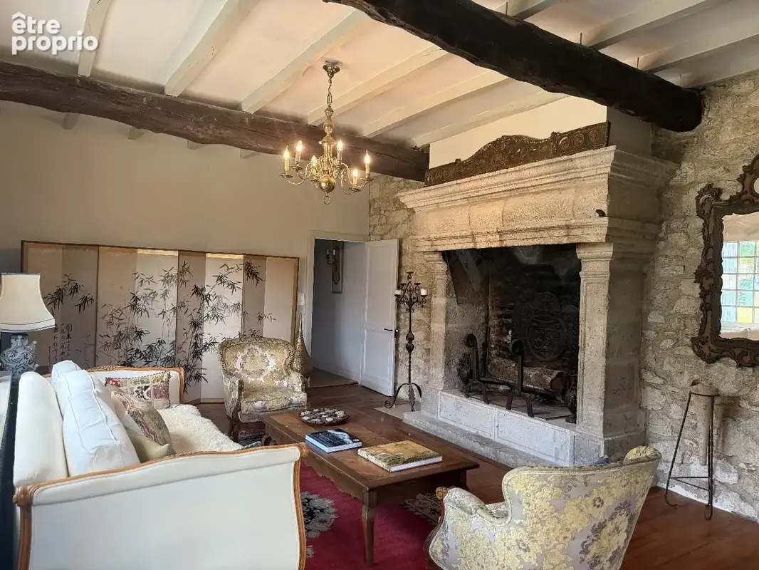 Magnifique propriété avec manoir et vaste parc - photo 12