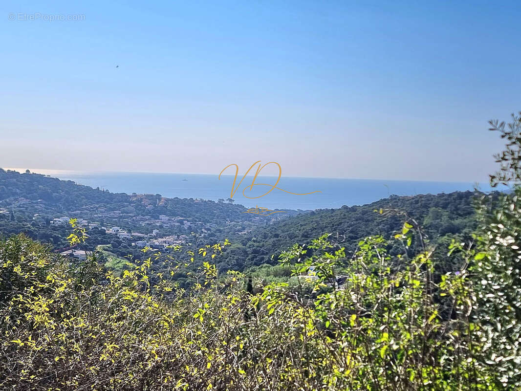 Pleine vue mer sans travaux calme absolu - photo 14