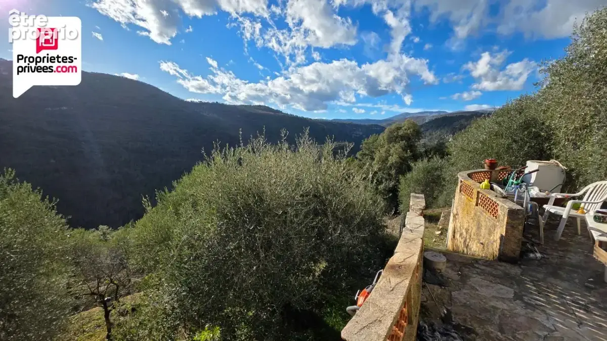 Magnifique Oliveraie et forêt avec Cabanon en vallée de la Siagne 16190 m2 - photo 6