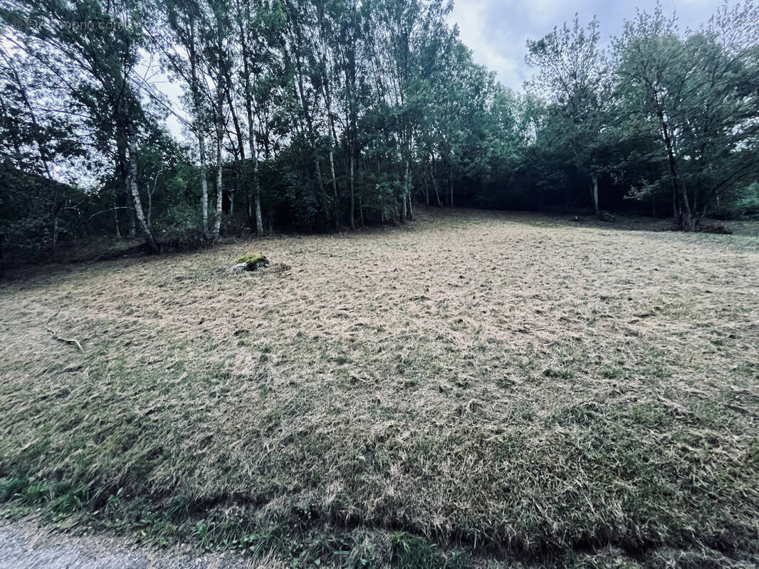 Terrain à LA PERRIERE