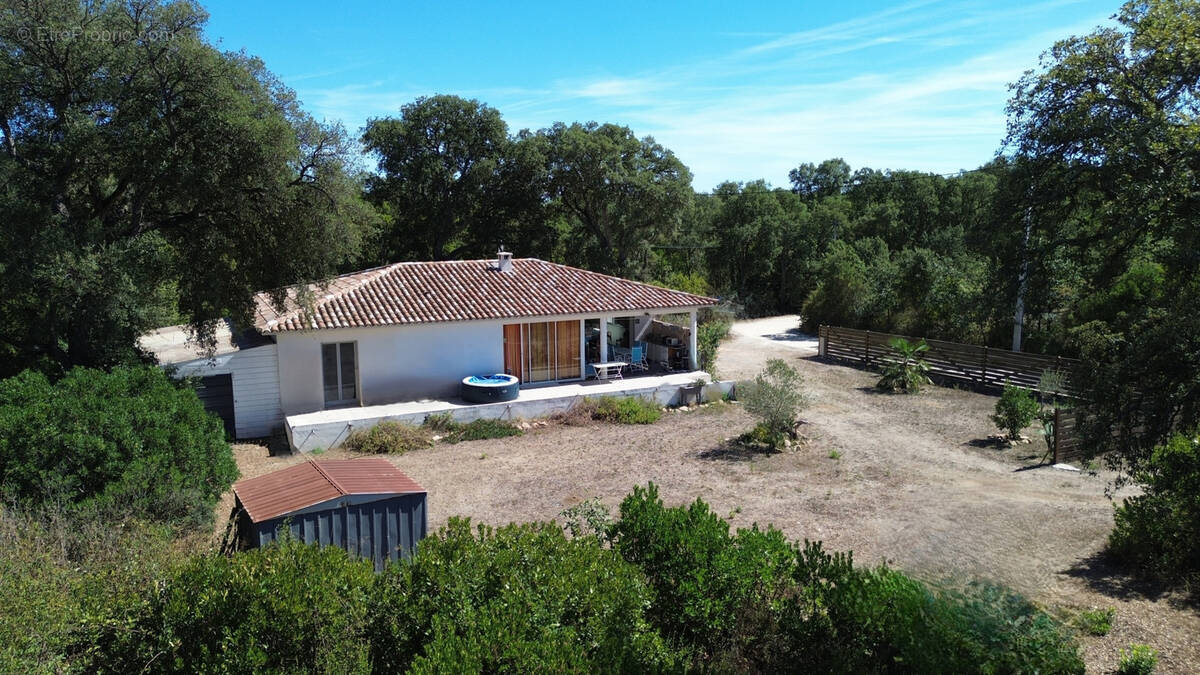 Autre à PRUNELLI-DI-FIUMORBO