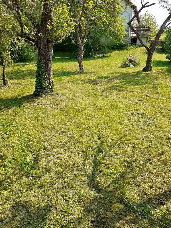 Maison à LA FERTE-GAUCHER