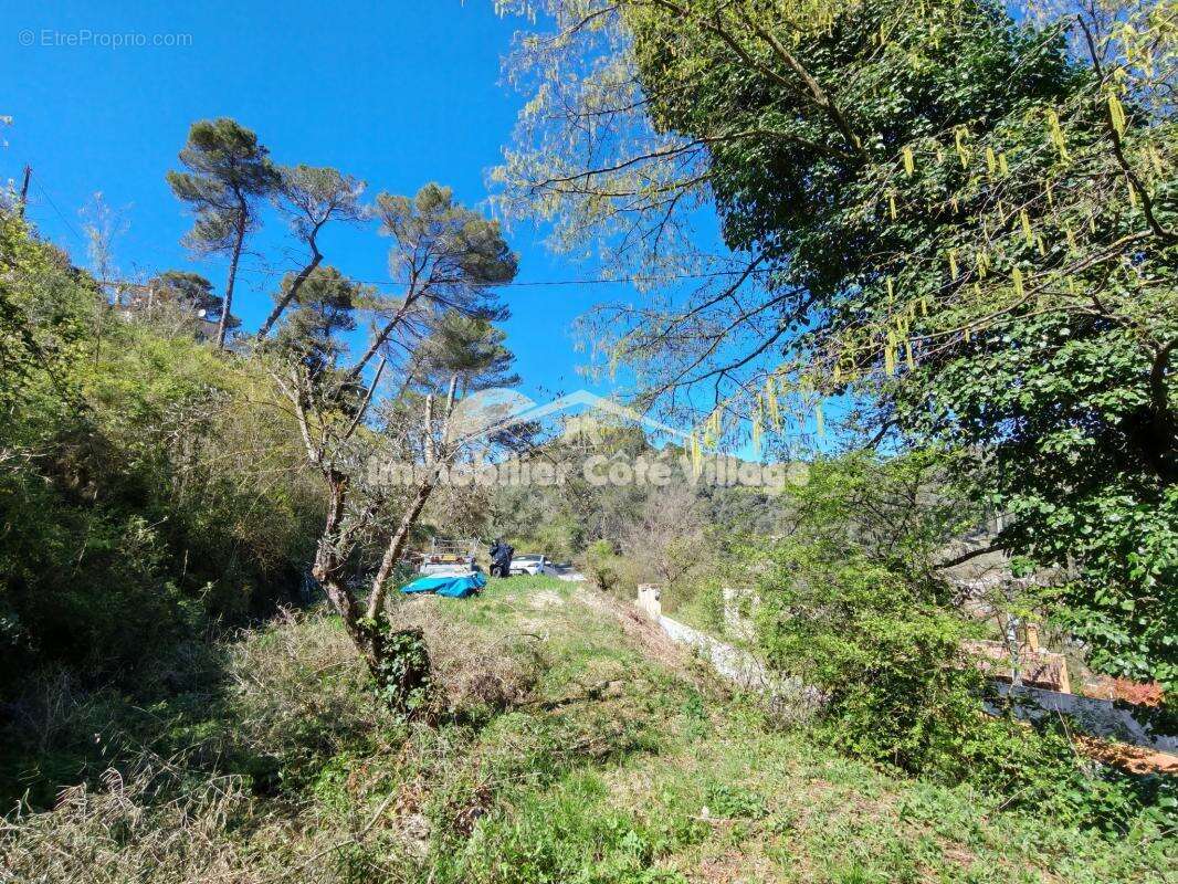 Terrain à DRAP