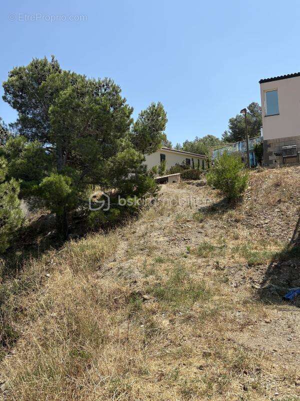 Terrain à TREILLES