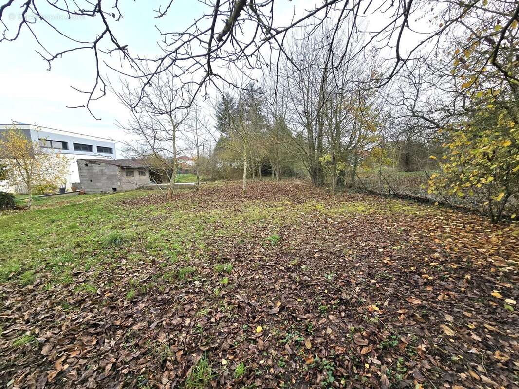 Terrain à DIEULOUARD