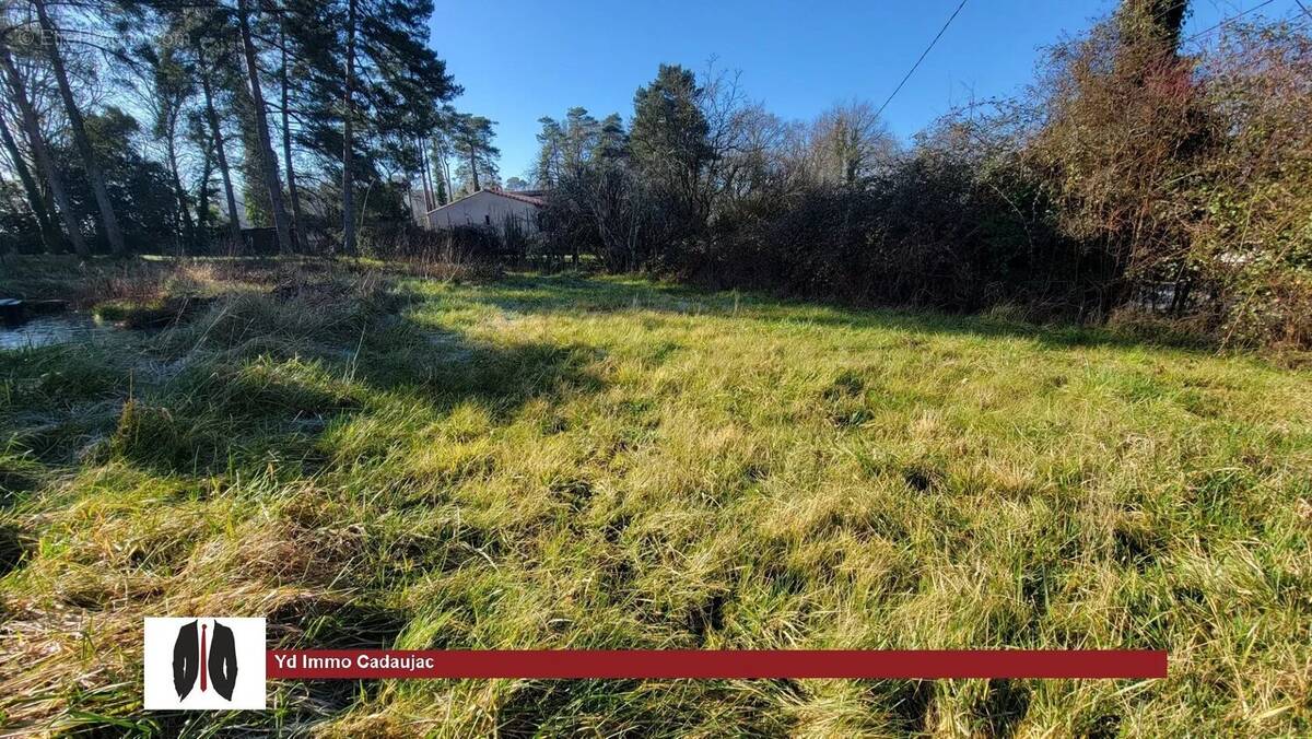 Terrain à MARTILLAC