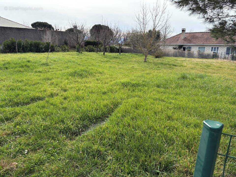 Terrain à CASTRES