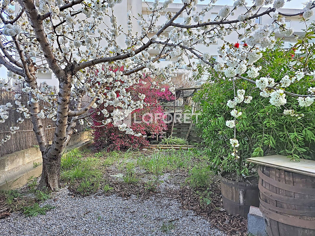 Appartement à ILLE-SUR-TET