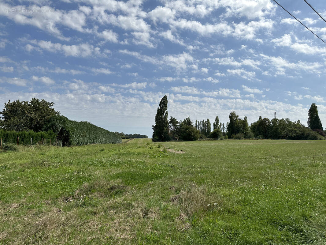 Terrain à VALLERY