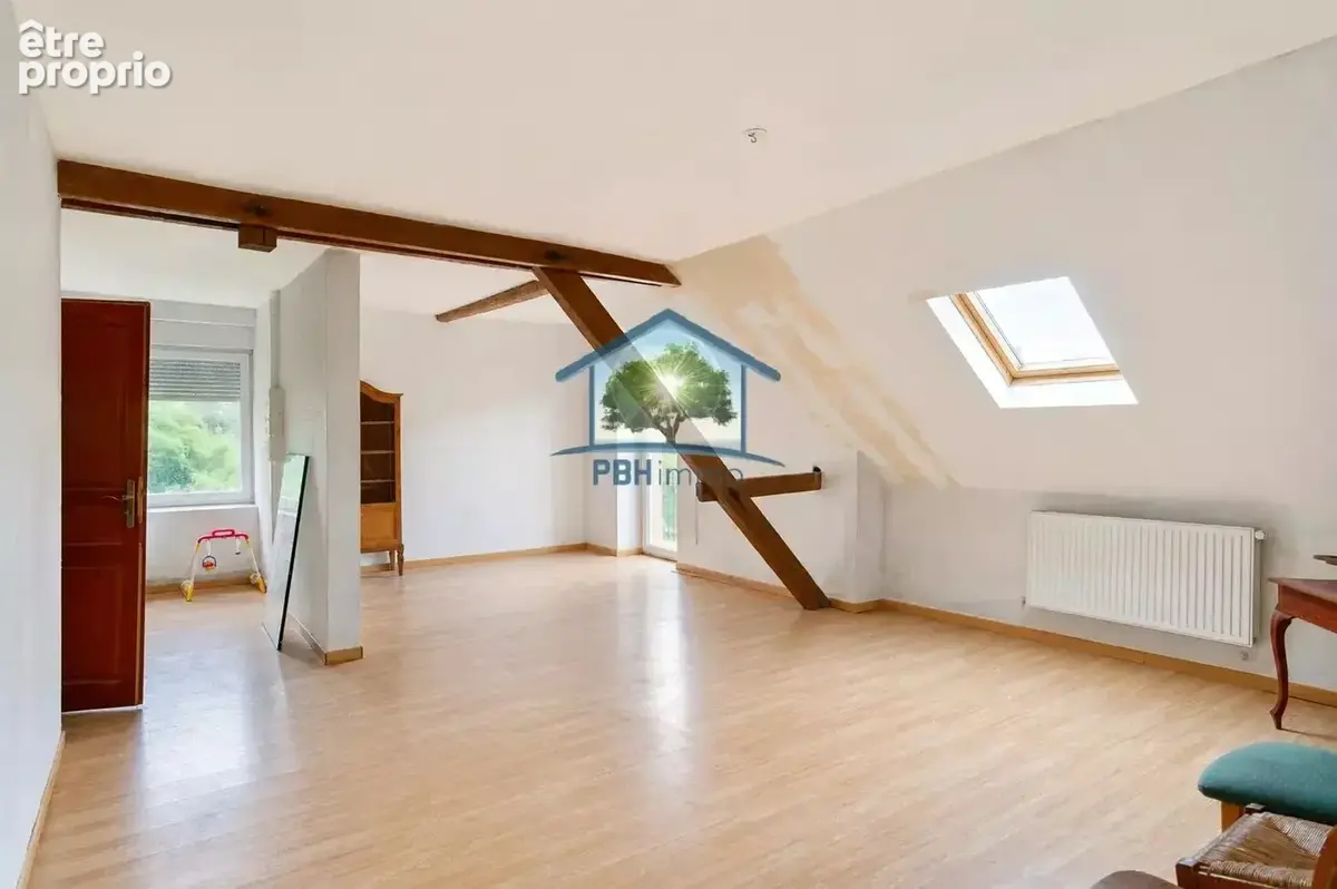 OTTERSTHAL (67) - Propriété 21 pièces 787m²  sur 50,95 ares - photo 11