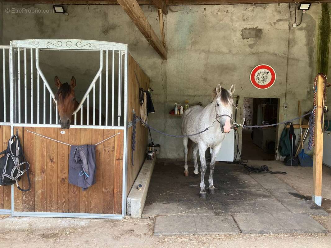 Maison 217 m² à Chateauneuf-Sur-Charente  - photo 8