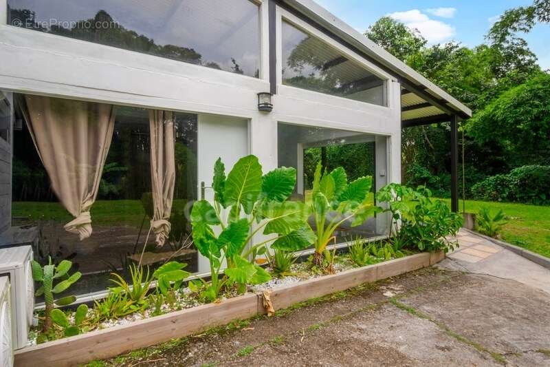 Appartement à FORT-DE-FRANCE