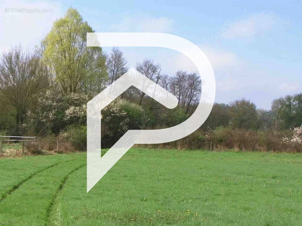 Terrain à SAULNIERES