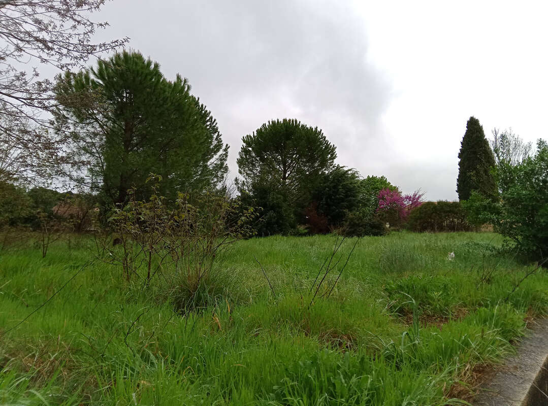 Terrain à bâtir à Saint-Laurent-de-Carnols - photo 2