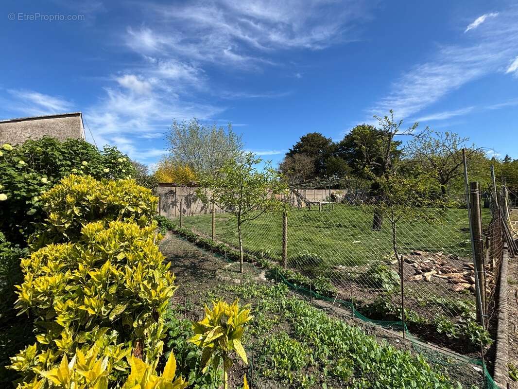 Terrain constructible à vendre à CHEVILLY (45) - photo 3