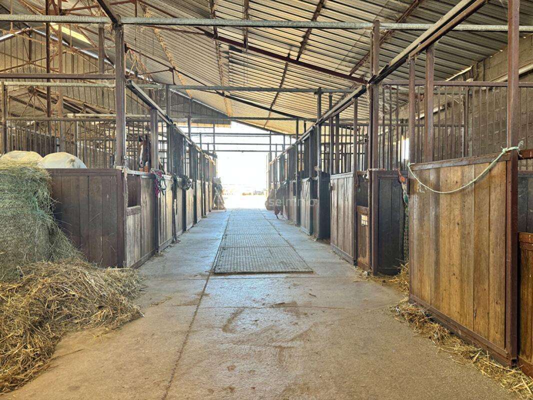 Centre equestre avec manege couvert et cabinet d'equitherapie - photo 7