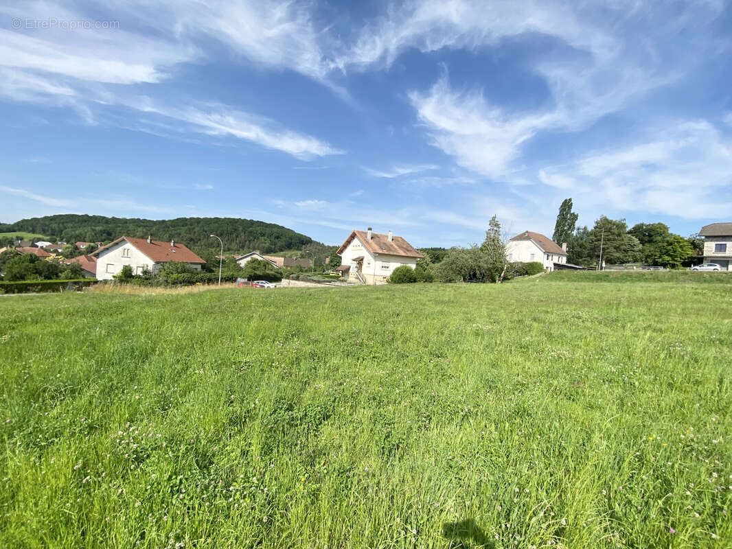 Terrain à FOUCHERANS