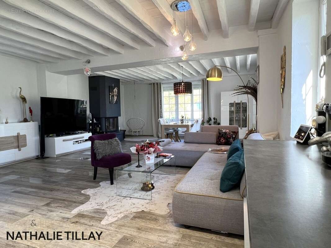 Orléans, Propriete à vendre, superbe Moulin rénové et bordé par la rivière, a l est d Orleans, parcelle de 4500 m² - photo 9