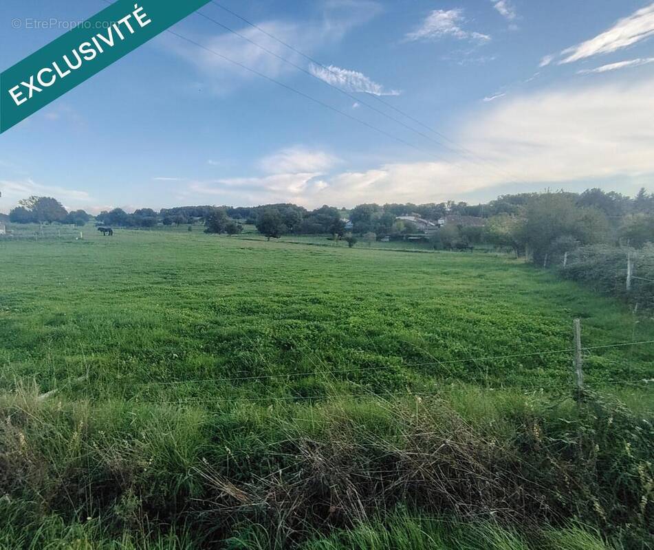 Photo 1 - Terrain à MONTBRON