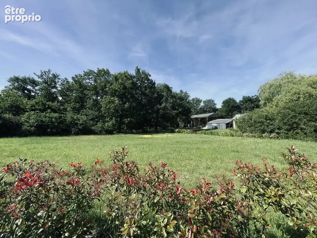 Terrain à FONTAINES-EN-SOLOGNE