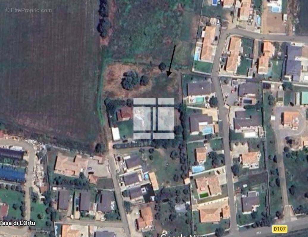 Terrain à LUCCIANA