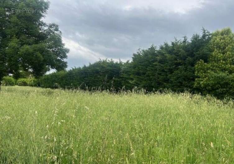 Terrain à LORIOL-SUR-DROME