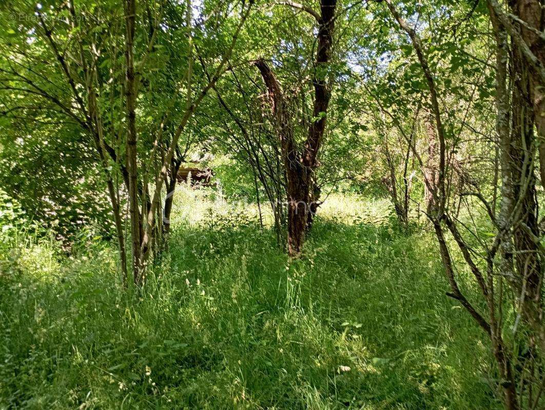 Maison à CHILLEURS-AUX-BOIS