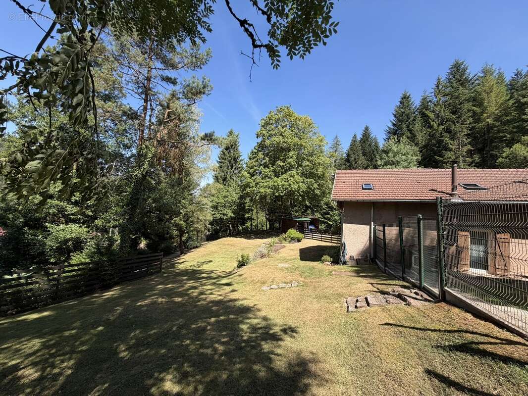 Magnifique ferme dans la forêt  - photo 21